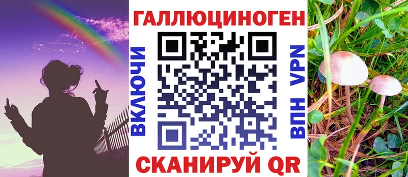 Псилоцибиновые грибы GOLDEN TEACHER  ОМГ ОМГ ссылка  Темрюк  где найти  