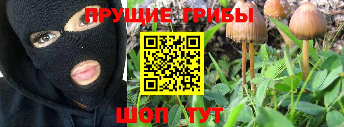 Темрюк  Галлюциногенные грибы мицелий  Галлюциногенные грибы мицелий  Вход с VPN 